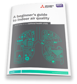 A Beginners Guide To Indoor Air Quality